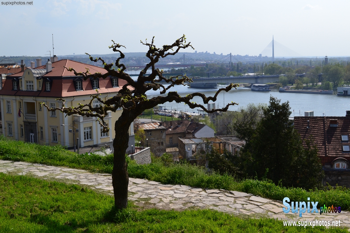 Kalemegdan - Belgrade, Serbia