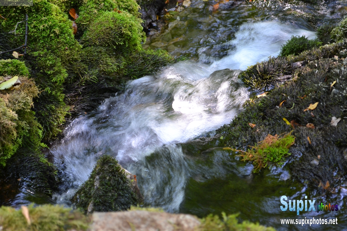river Grza