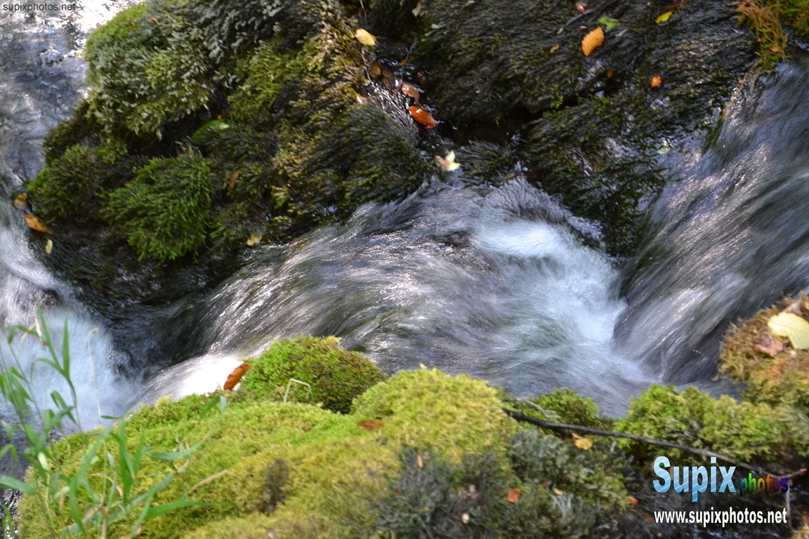 river Grza