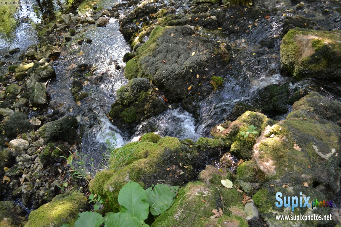 river Grza