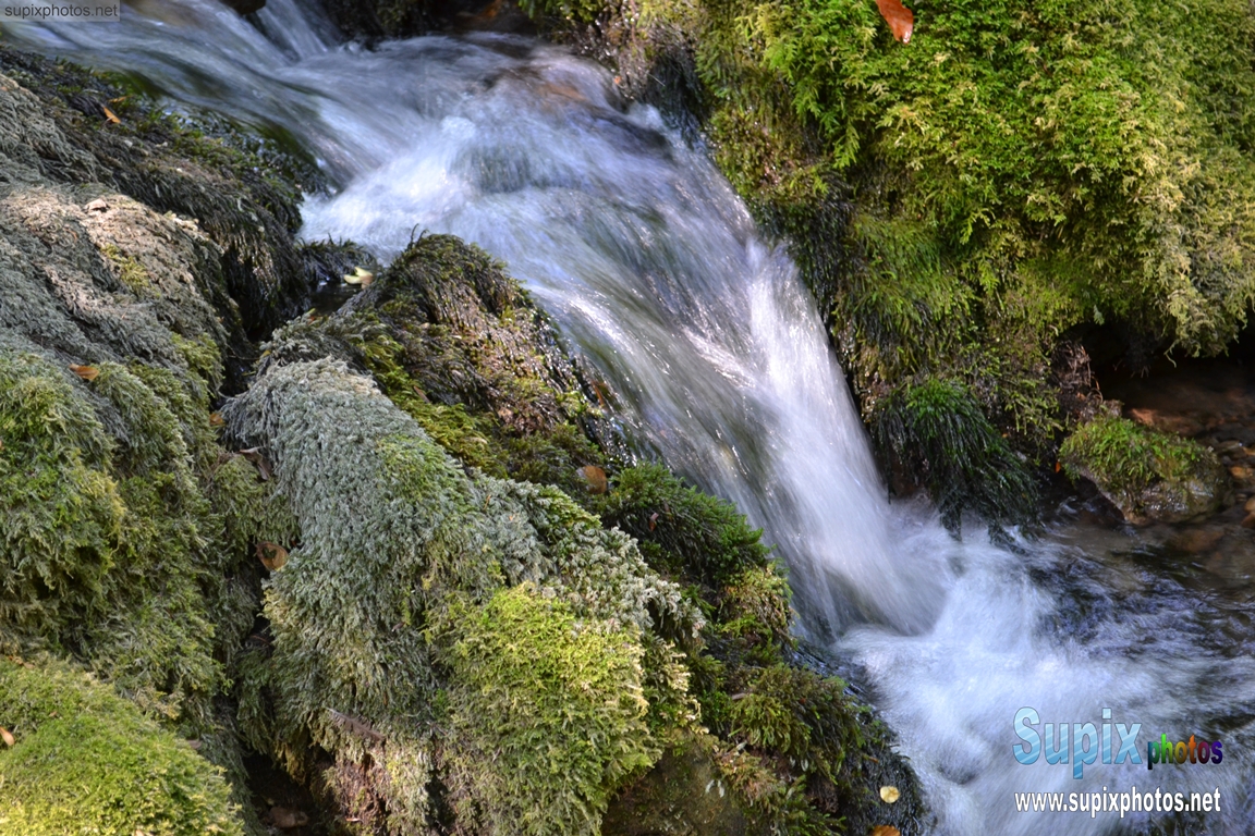 river Grza