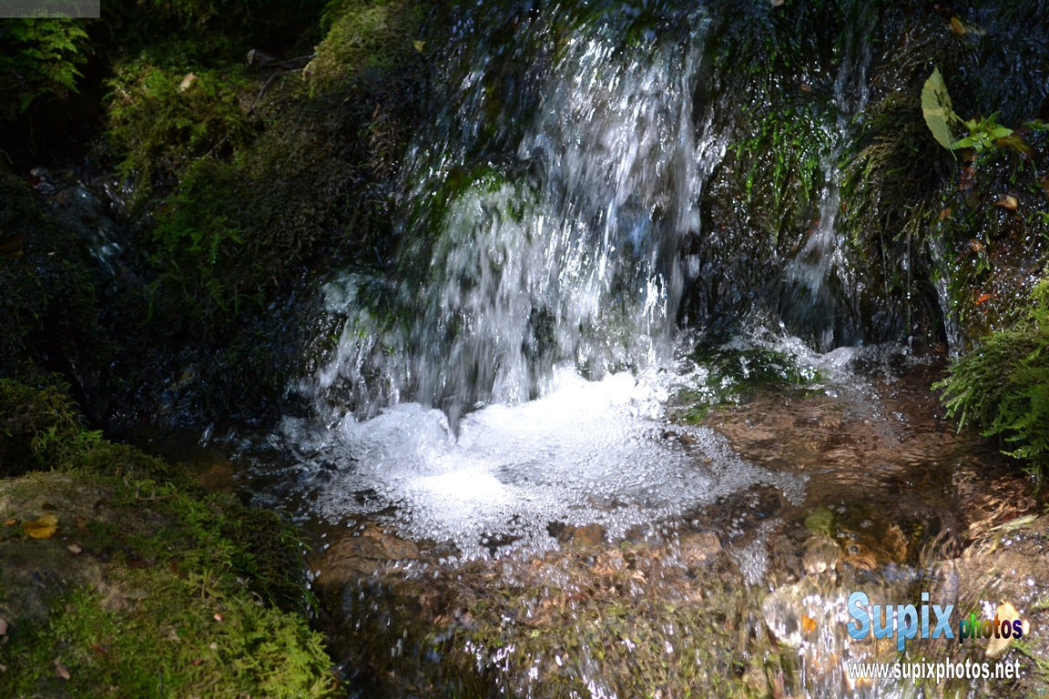 river Grza