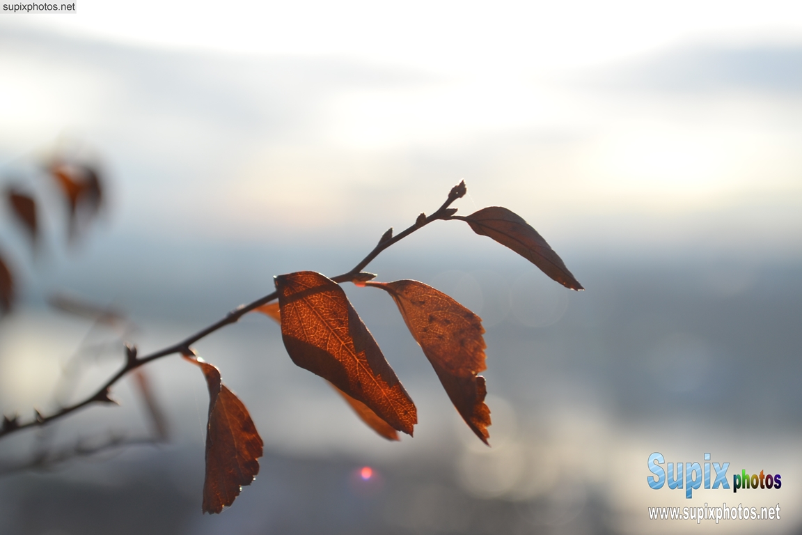 Nature in Belgrade