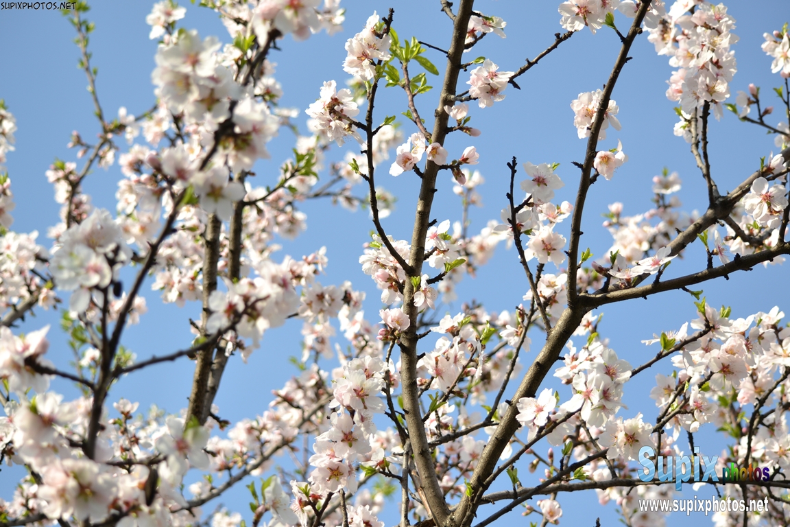 spring is here