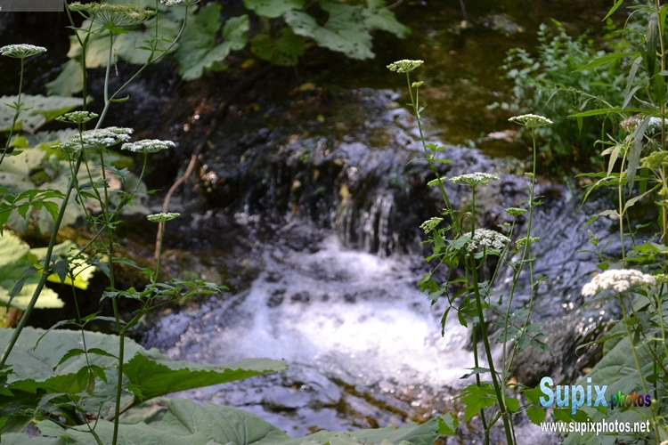 river Grza